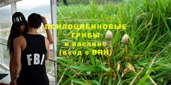 соль ск Няндома