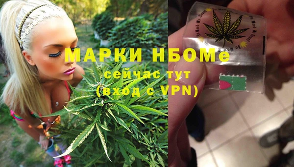 соль ск Няндома
